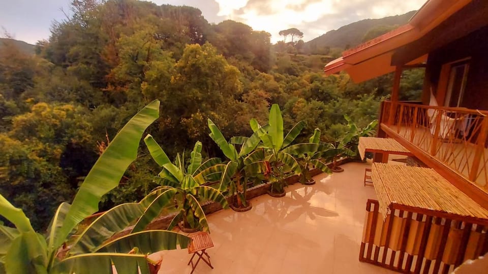 Garden view