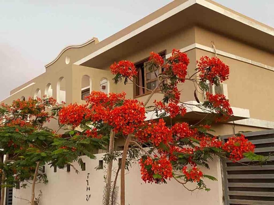 Dahab apartment S3 Apartment in South Sinai Governorate
