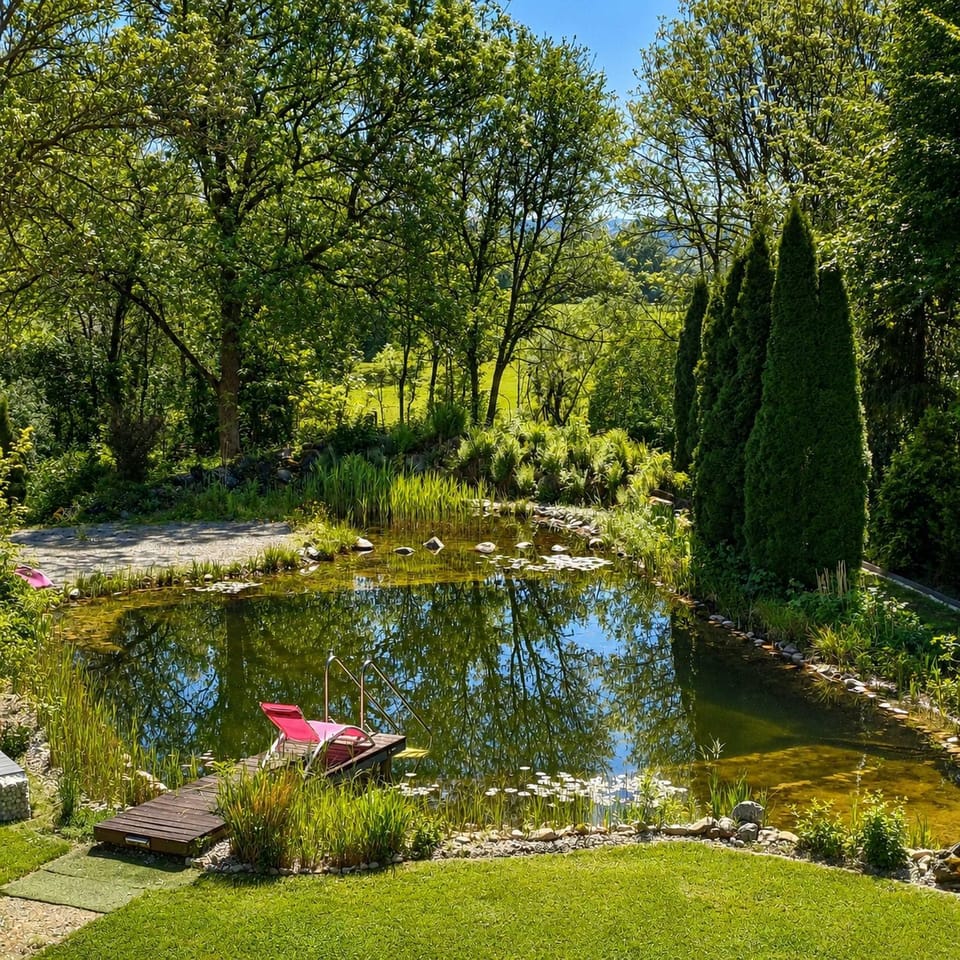 Spring, Natural landscape, Garden, Garden view, Mountain view, Pool view, Swimming pool, Open Air Bath
