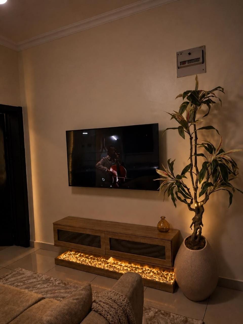 TV and multimedia
