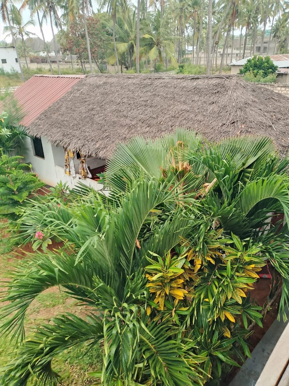 Garden view