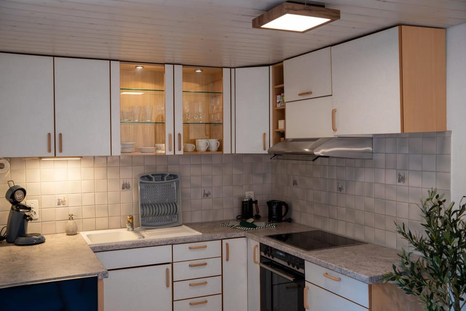Coffee/tea facilities, stove, kitchen