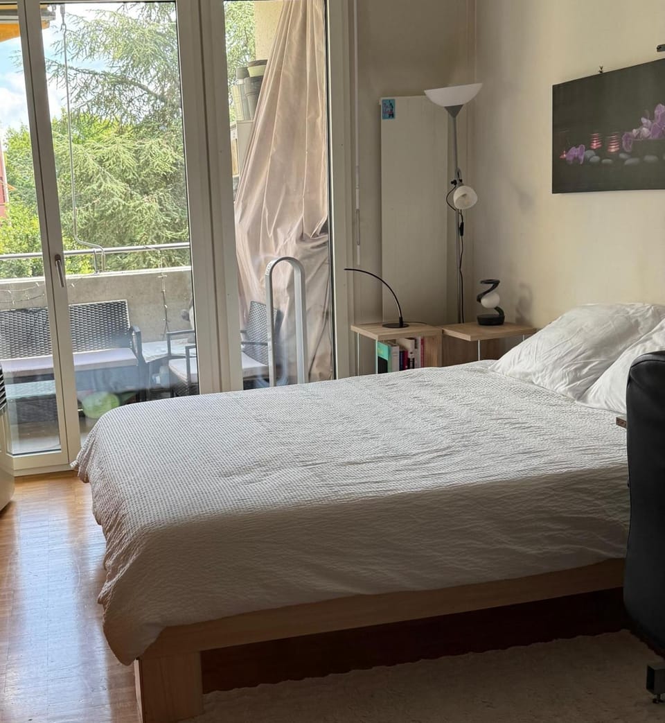 Quiet apartment near UN, Airport and shopping mall with parking Apartment in Geneva