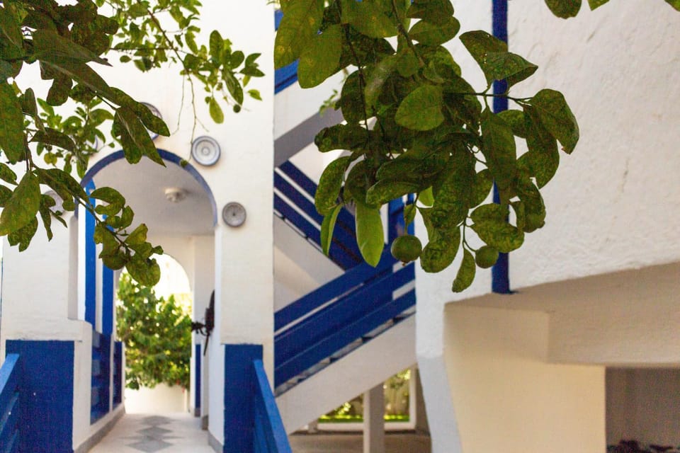 Appartement rare et authentique Apartment in Tangier-Tétouan-Al Hoceima