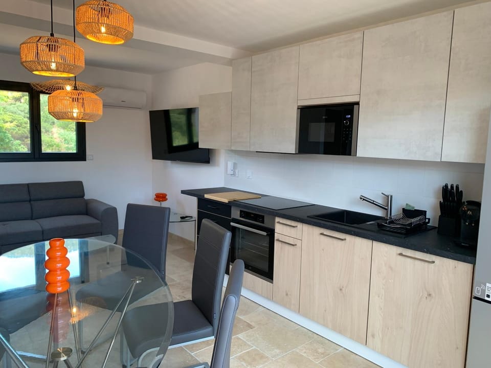 Appartement entièrement climatisé avec spa Villa in Le Lavandou