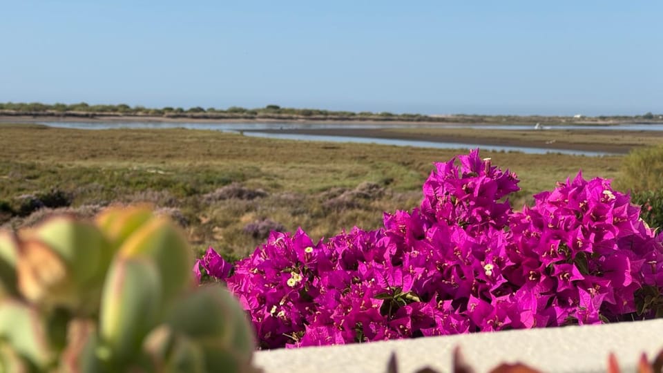 Natural landscape, Sea view