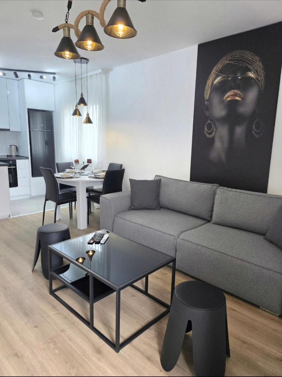 Fenix Lux Apartment in Belgrade