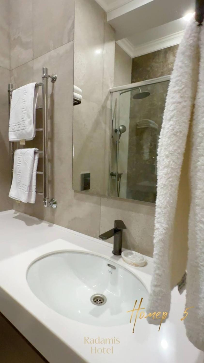 Radamis Hotel in Almaty