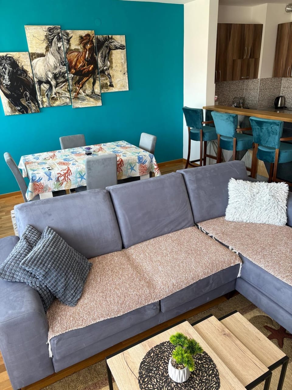 Sophia Apartment in Serbia