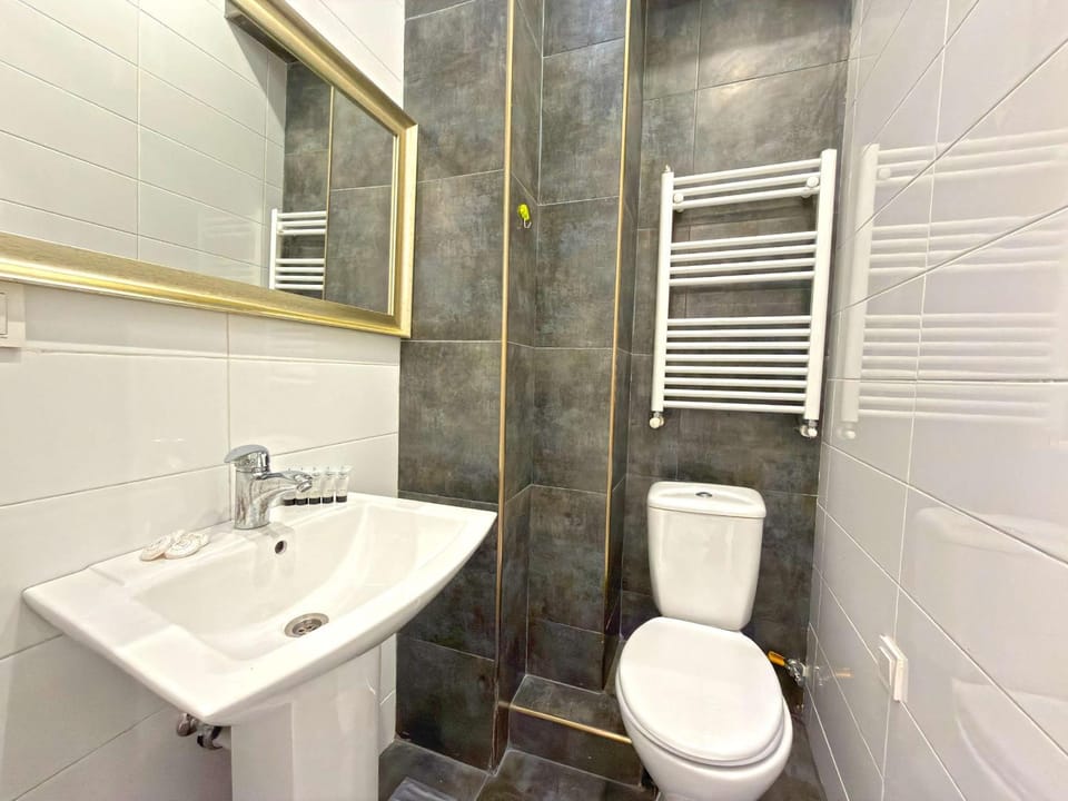 Shower, Toilet, Bathroom, bidet