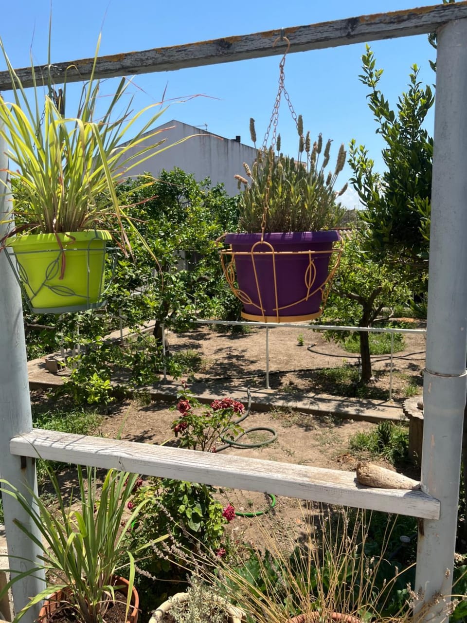Garden, Garden view