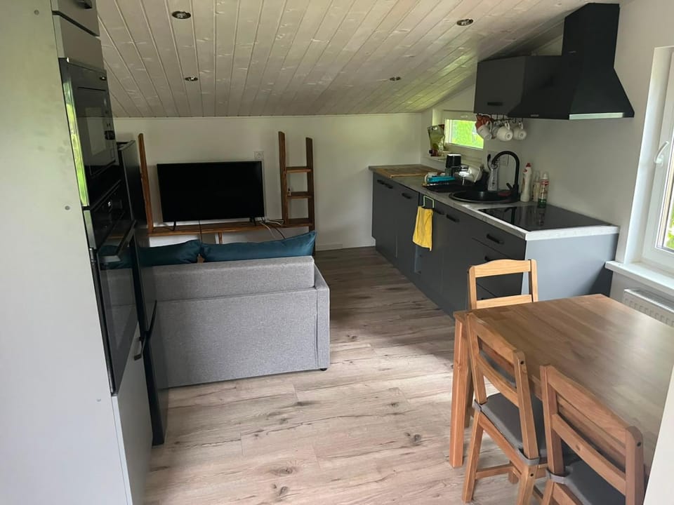 TV and multimedia, Kitchen or kitchenette, Living room, dishwasher, oven, stove