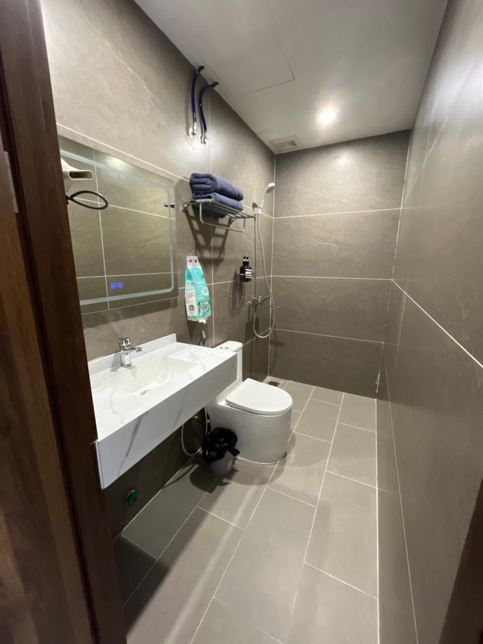 Toilet, Bathroom