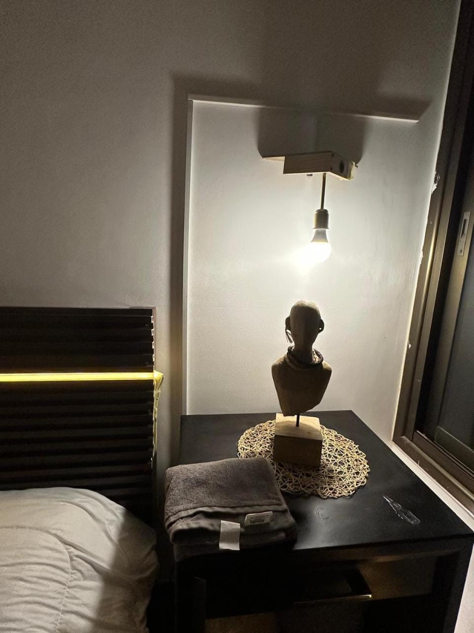 cheetah Apartment in Africa