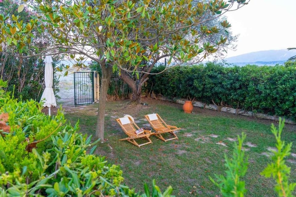 Garden, sunbed