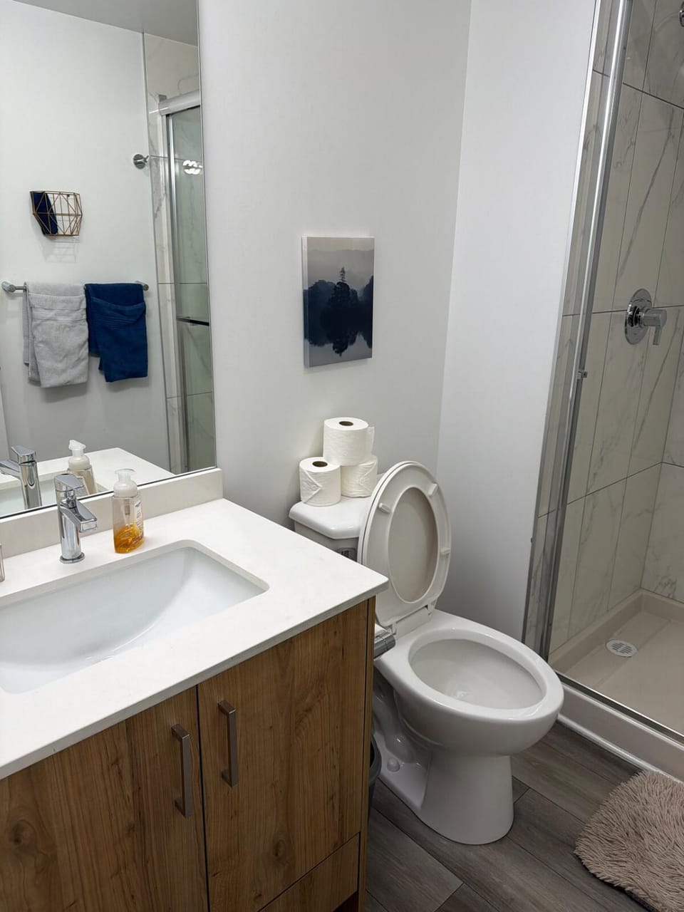 Toilet, Bathroom