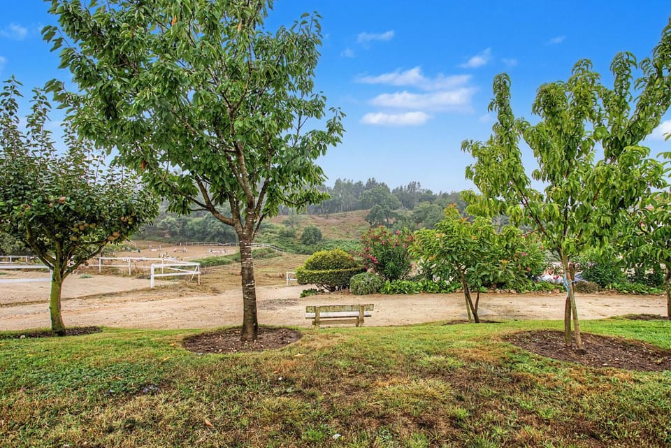 Quinta Vale Formoso Farm Stay in Santarém District, Portugal