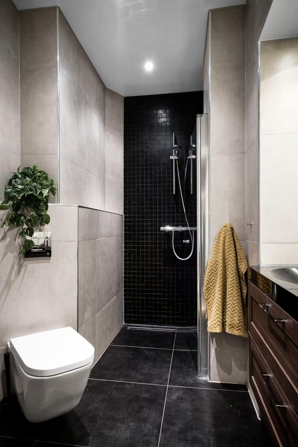 Shower, Toilet, Bathroom, towels