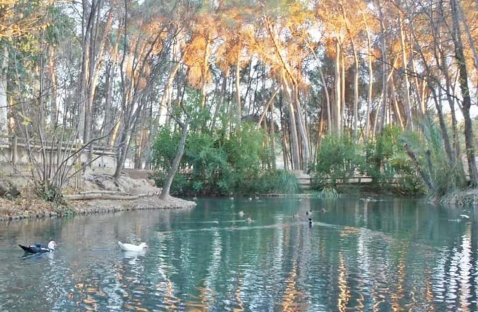 Natural landscape