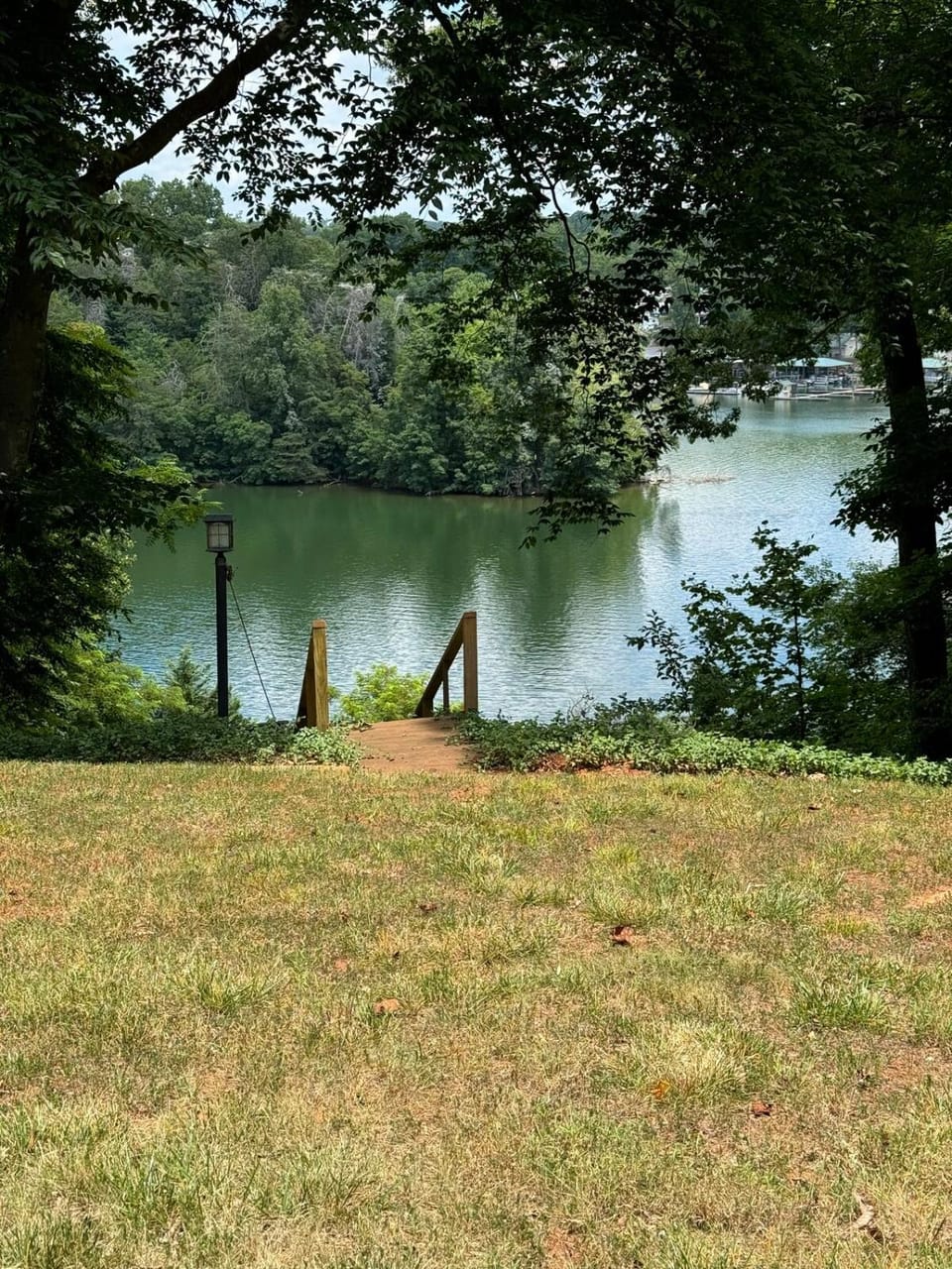 Natural landscape, Garden, Lake view