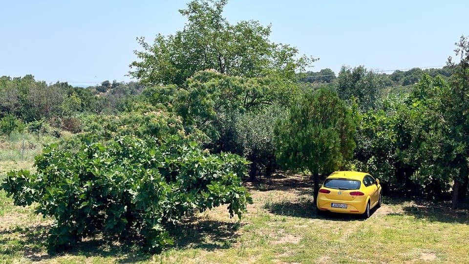 View (from property/room), Garden view