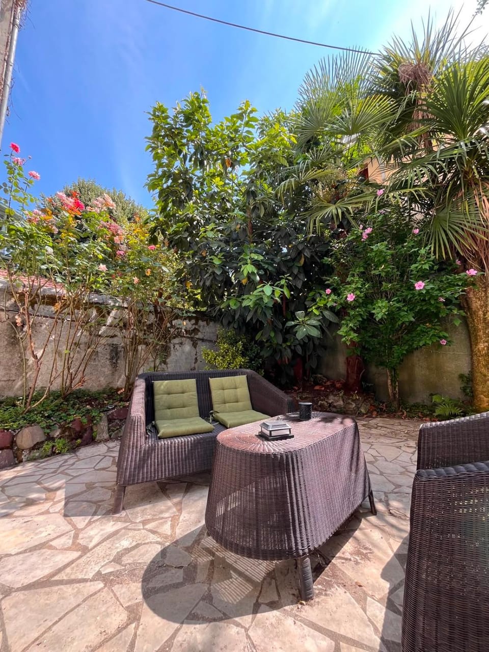 Patio, Garden