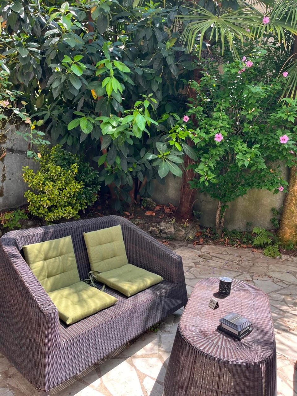 Patio, Garden