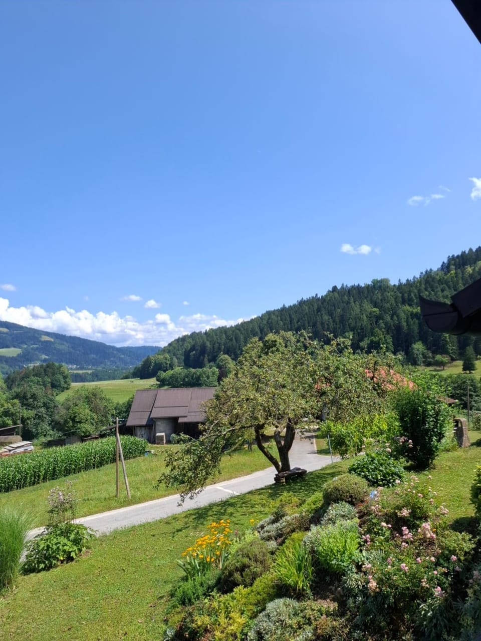 Natural landscape
