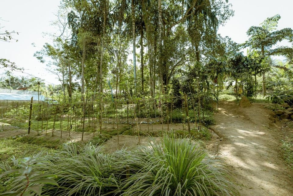 Clove Bentota Villa in Western Province
