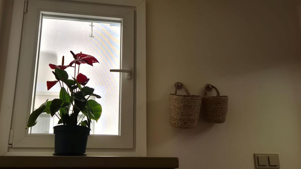 Bathroom, Decorative detail