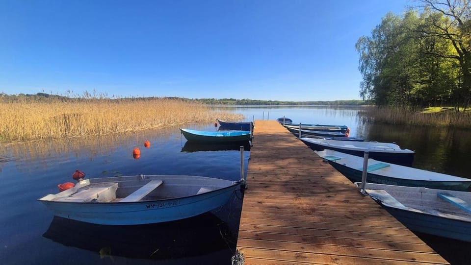 Lake view