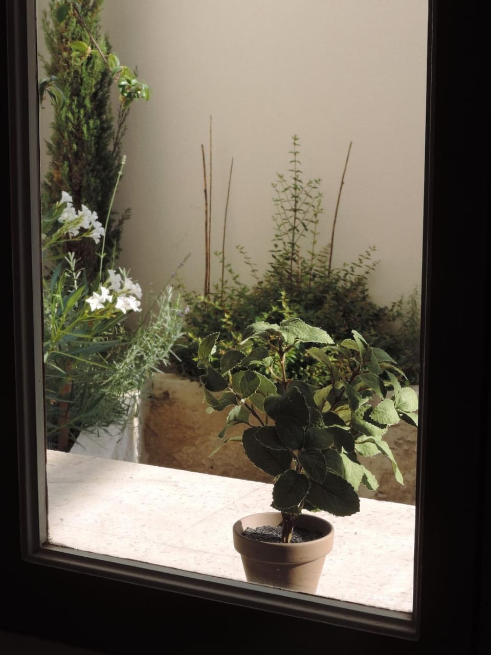 Garden view