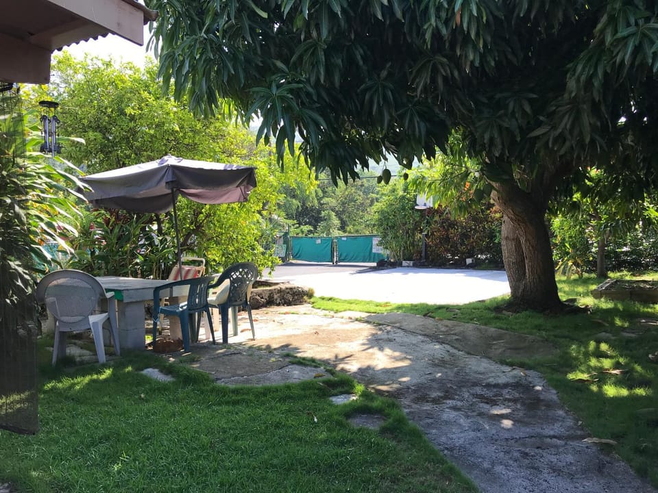 Kealakekua Bay, Steps to Manini Beach Apartment in Captain Cook