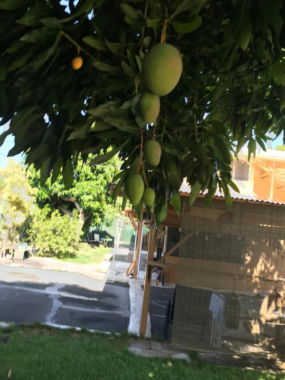 Kealakekua Bay, Steps to Manini Beach Apartment in Captain Cook