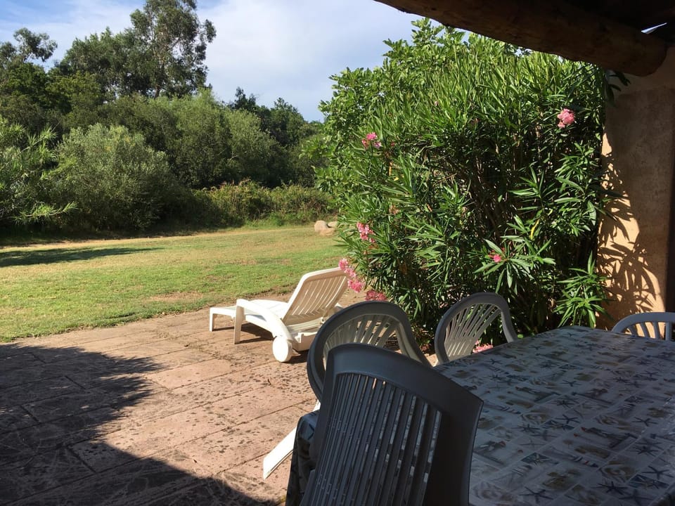 Patio, Garden view