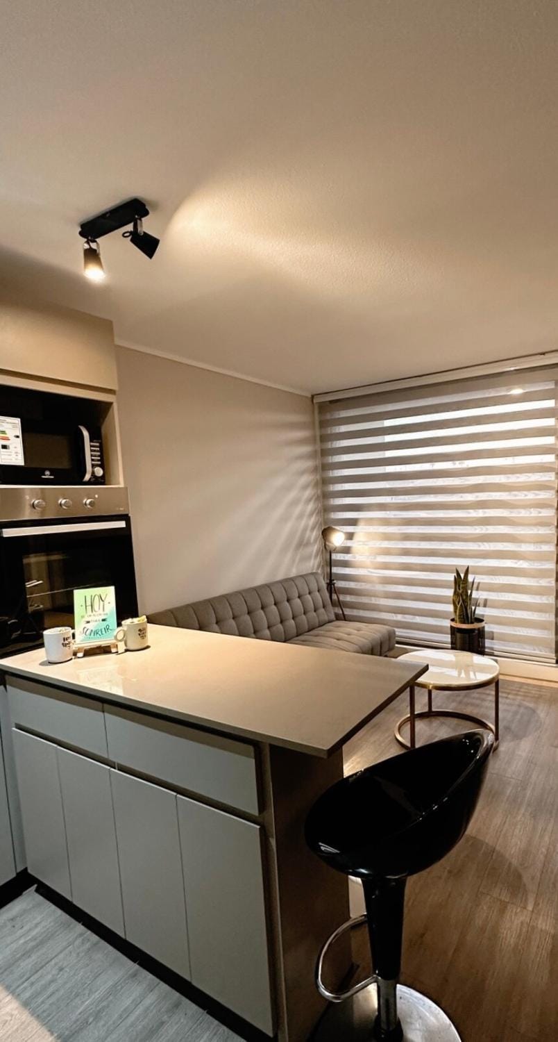 Modern apt, Pet friendly, Free parking Apartment in Coquimbo