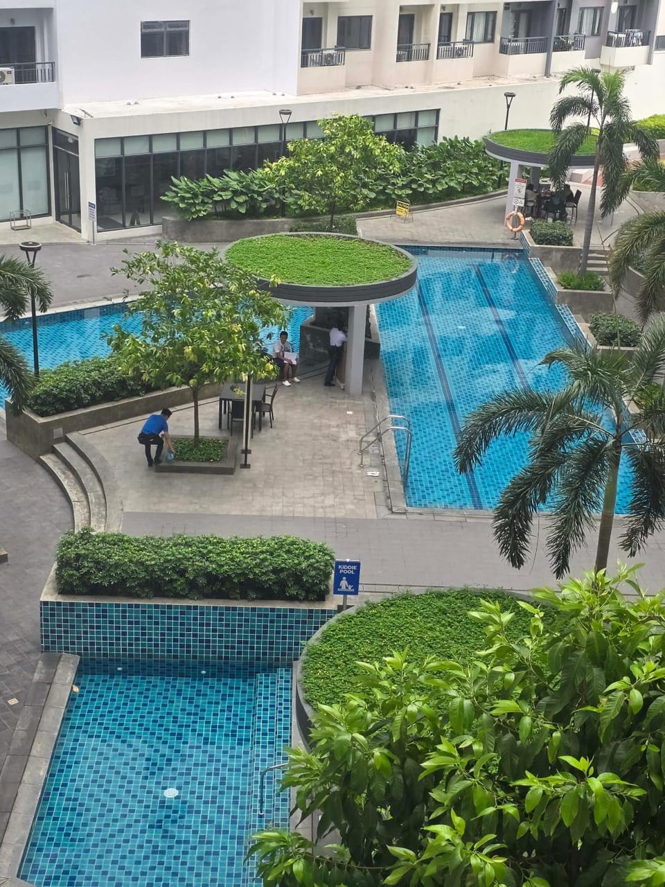 Property building, Day, Garden, Garden view, Pool view, Swimming pool