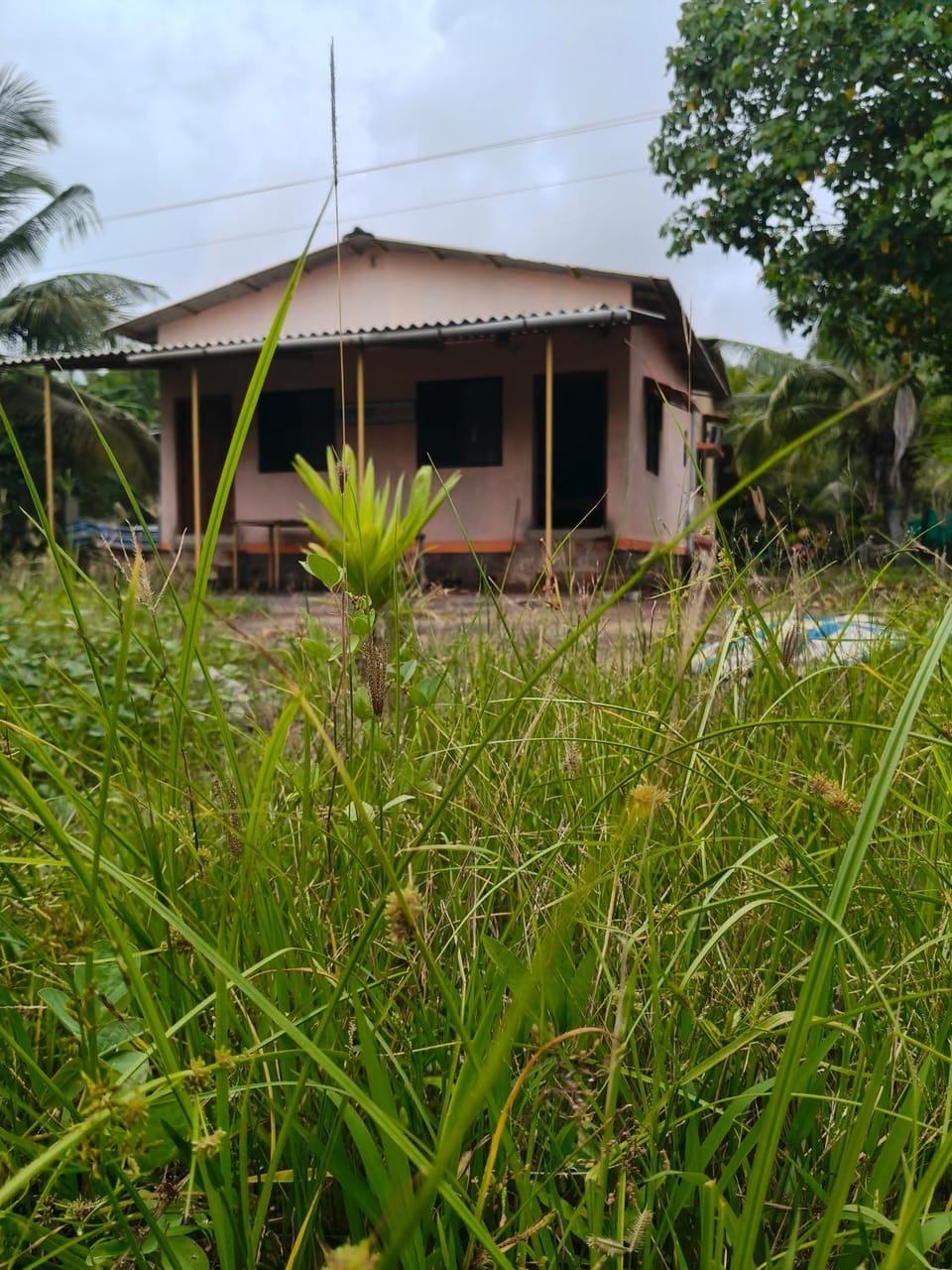 Kalpatru Apartment in Maharashtra