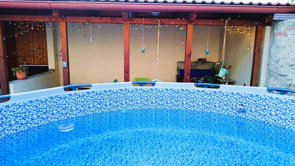 Garden, Swimming pool