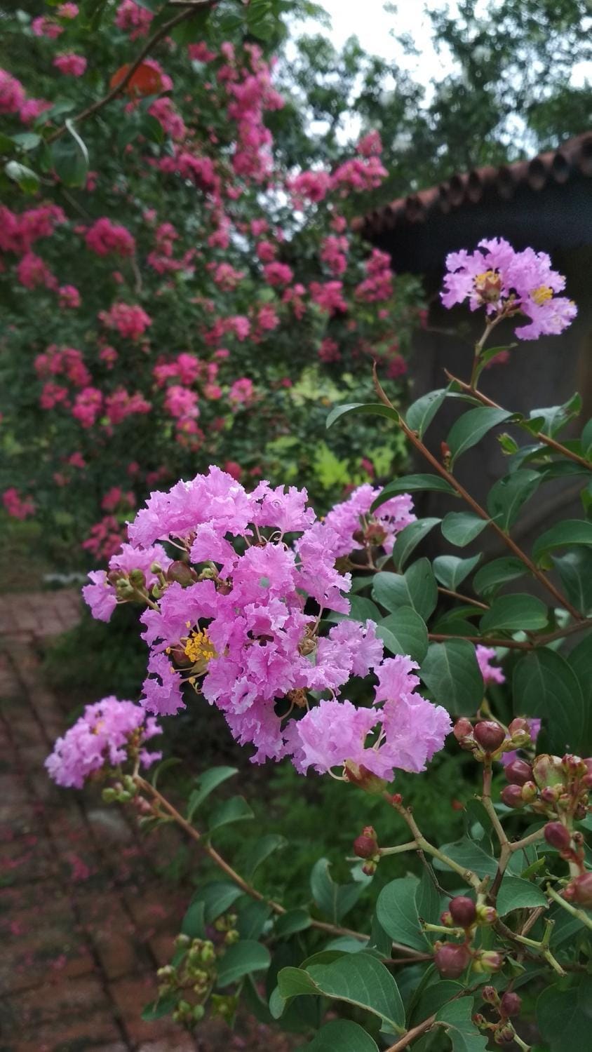 Rare Earth Farms & Homestay Farm Stay in West Bengal