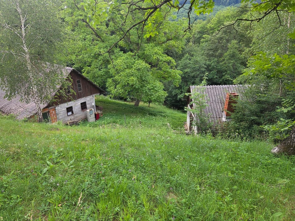 Haus im Wald House in Slovenia