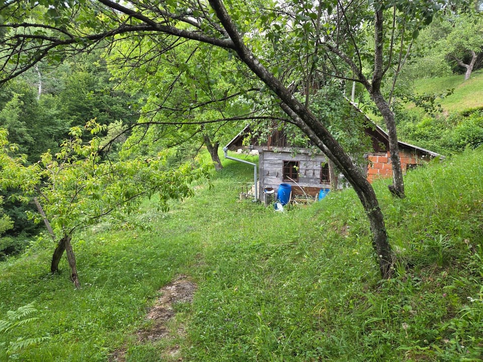 Haus im Wald House in Slovenia
