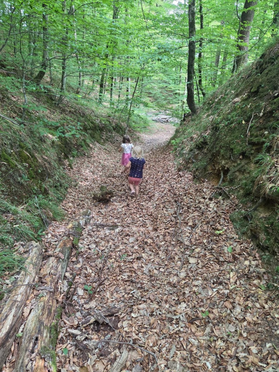 Haus im Wald House in Slovenia