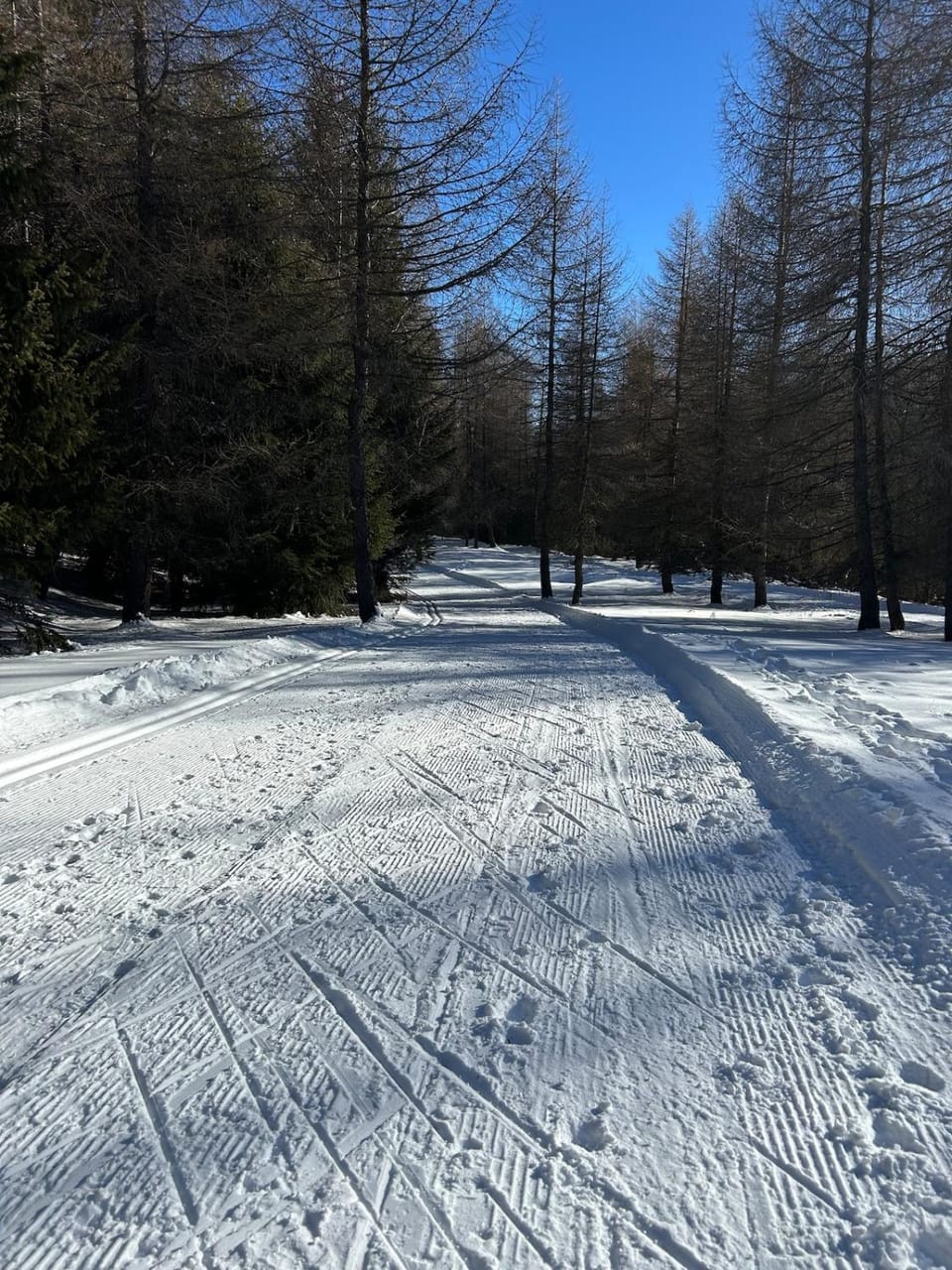 Natural landscape