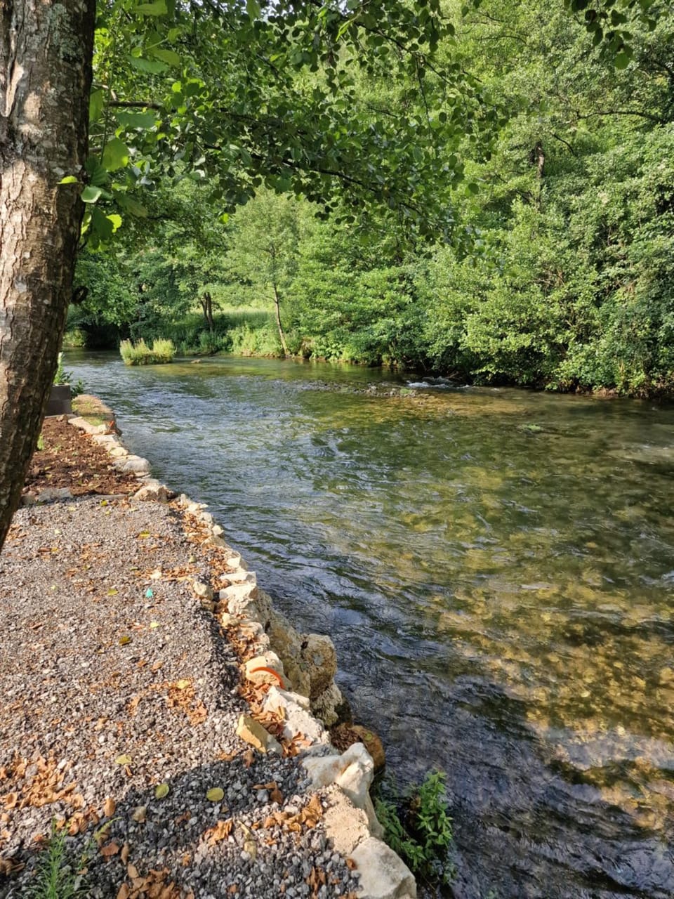 River view