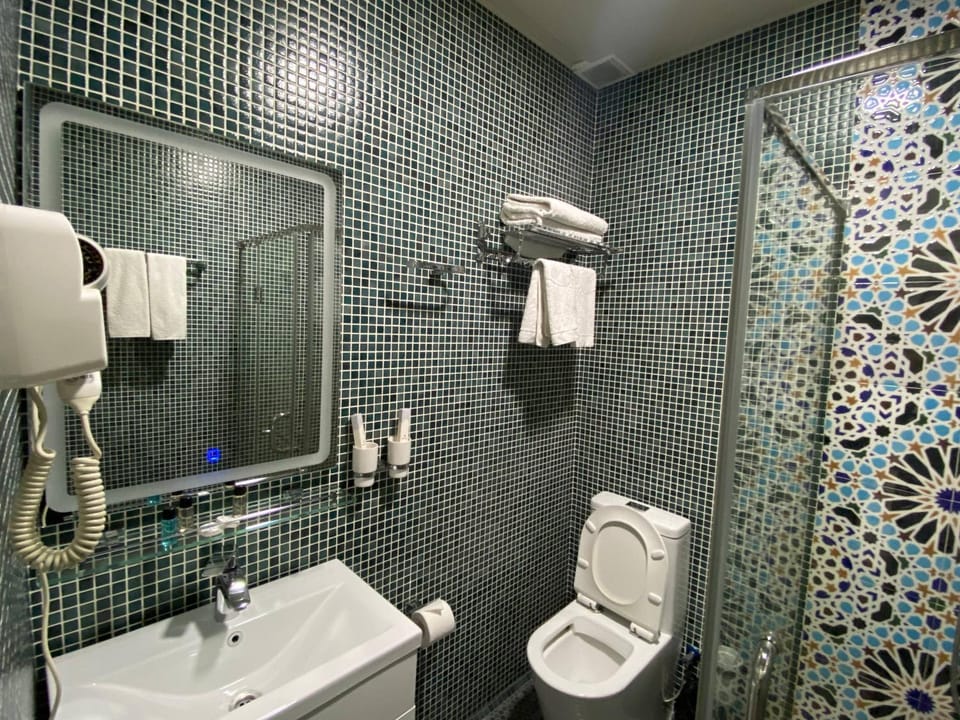 Shower, Toilet, towels
