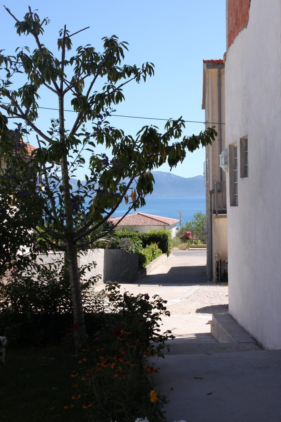 Location, children, Family
