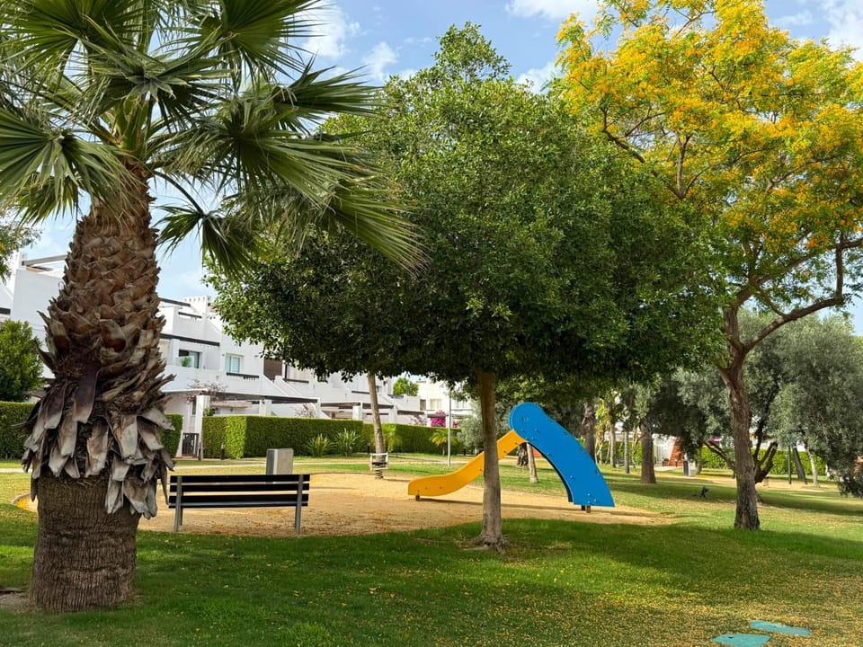 Children play ground