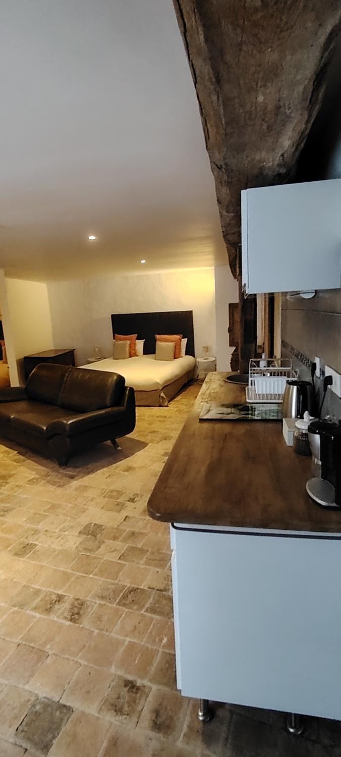 Appartement de Charme - Lit king-size - Au Relais des Roses Apartment in Centre-Val de Loire
