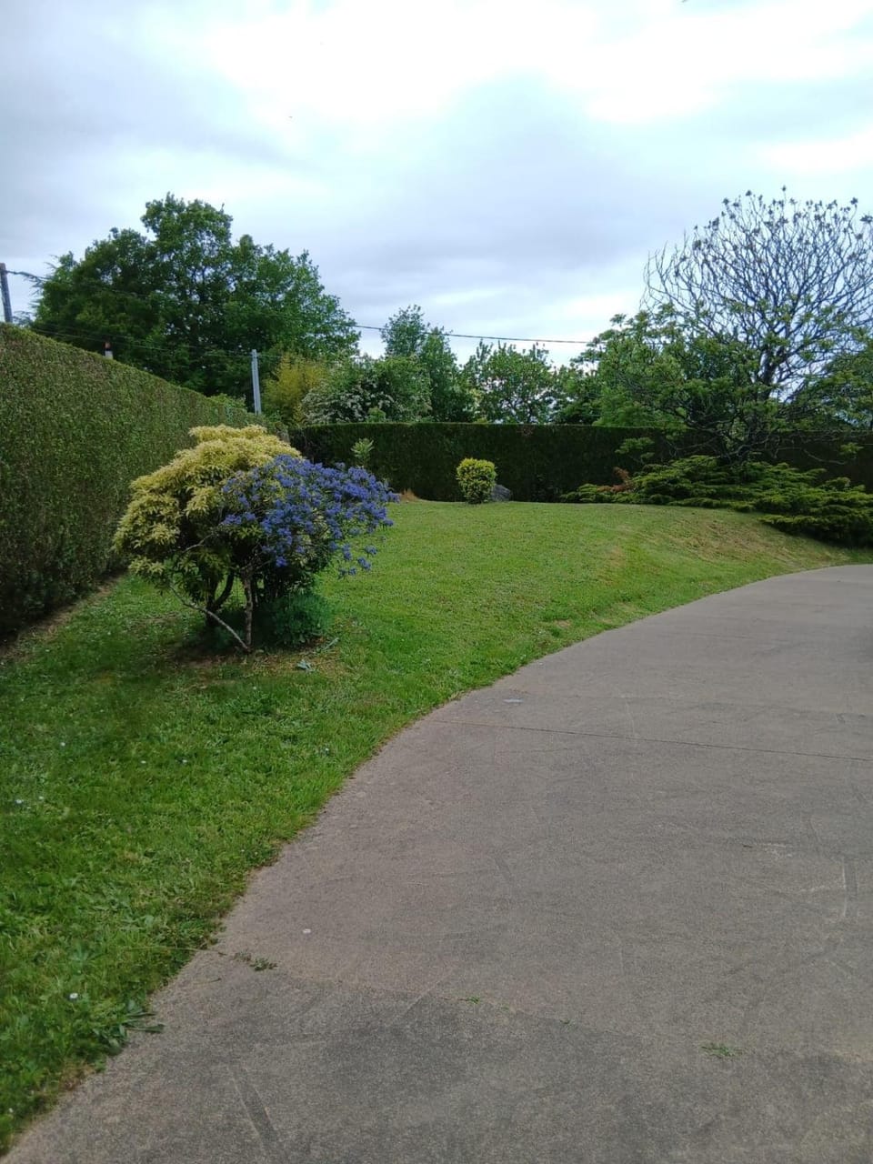 Spring, Natural landscape, Garden, Garden view